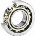 Angular Contact Ball Bearing 3210 2RS